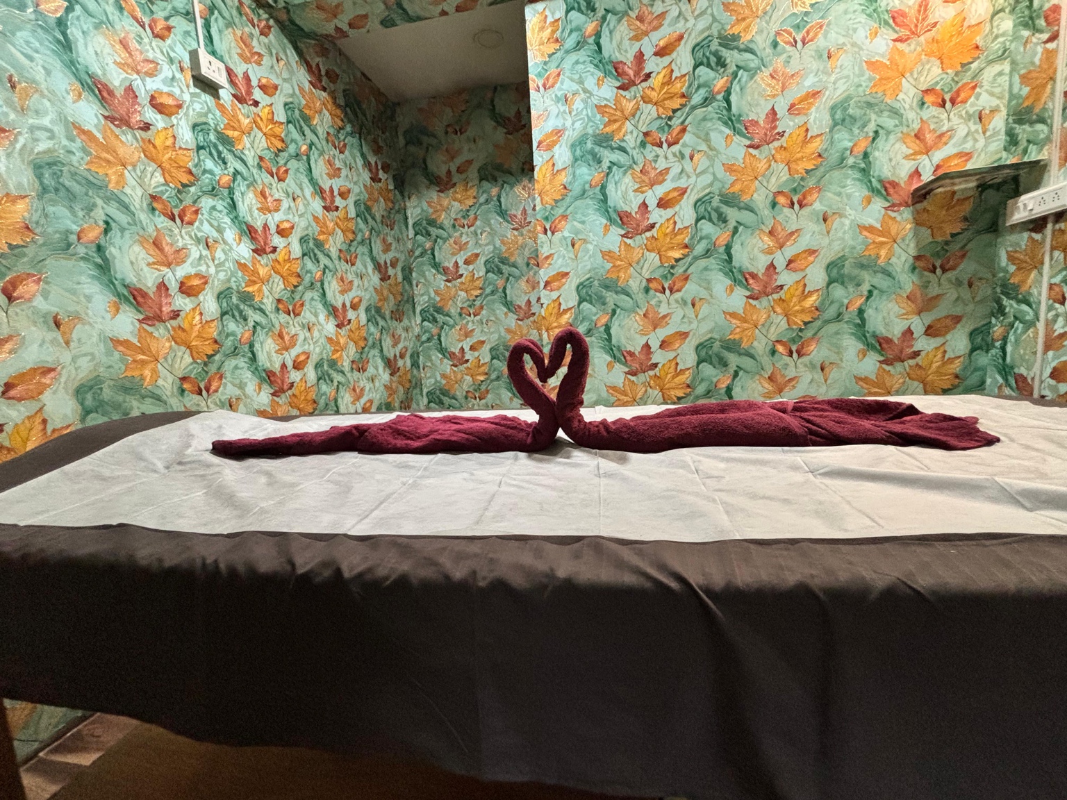 iQ Spa treatment bed
